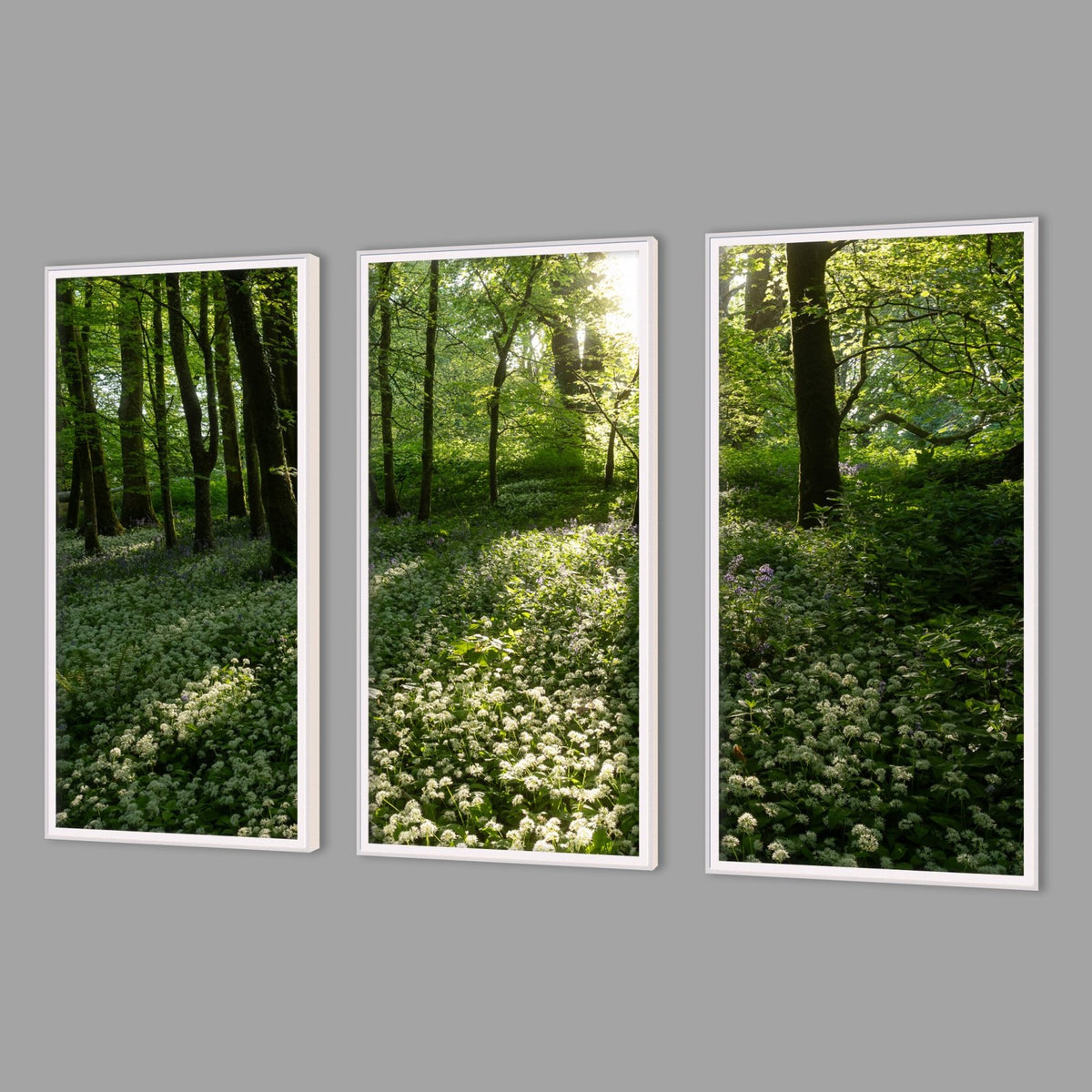 LED-Wandbild Dreiteiler hochkant mit Abstand – Wald