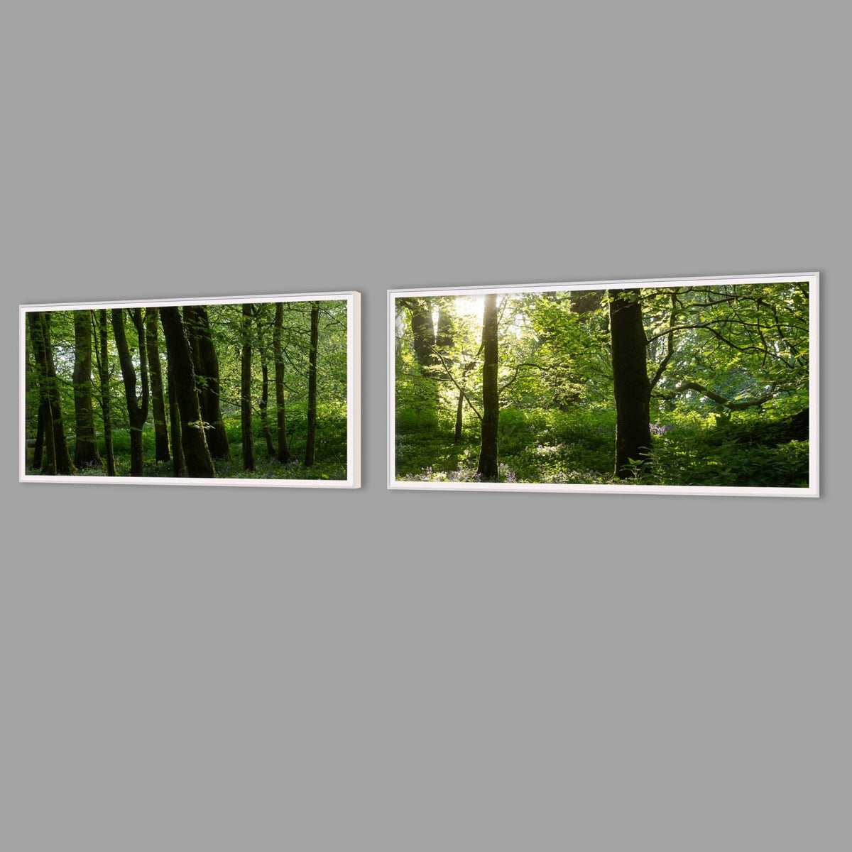 LED-Wandbild Zweiteiler quer mit Abstand – Wald