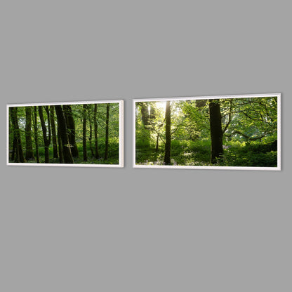 LED-Wandbild Zweiteiler quer mit Abstand – Wald