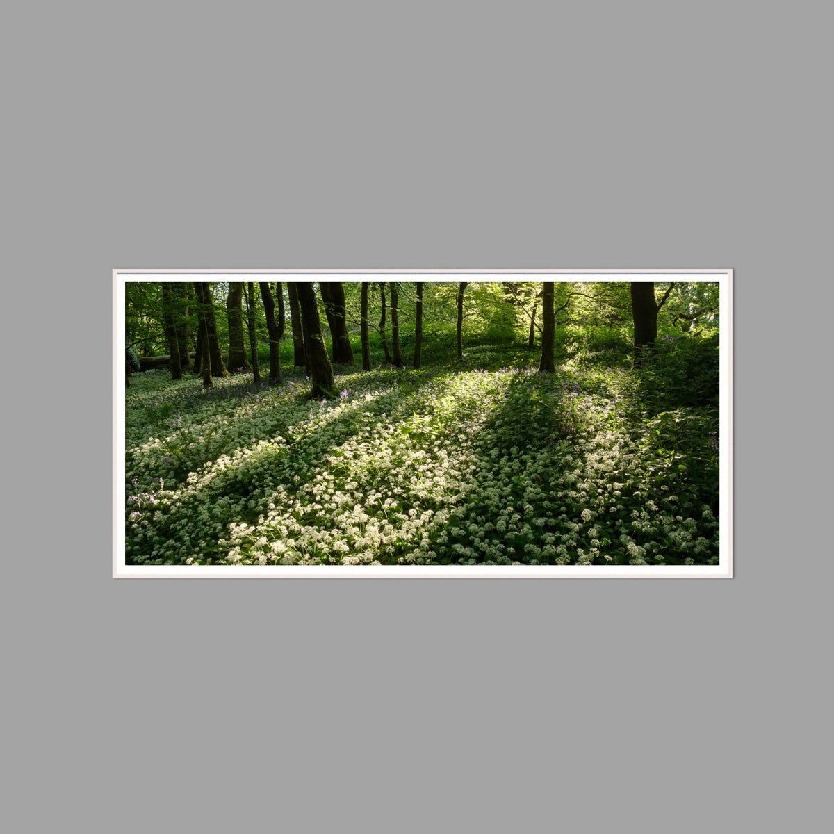 LED-Wandbild 60x120 cm quer – Wald