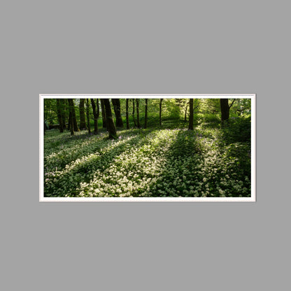 LED-Wandbild 60x120 cm quer – Wald