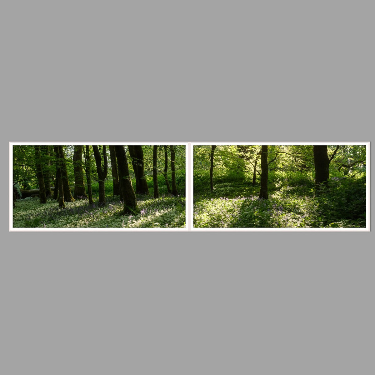 LED-Wandbild Zweiteiler quer 240x60 cm – Wald