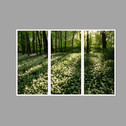 LED-Wandbild Dreiteiler hochkant 180x120 cm – Wald