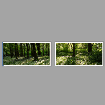 LED-Wandbild Zweiteiler quer mit Abstand – Wald