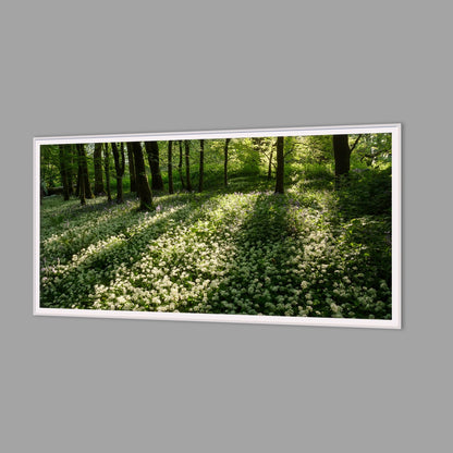 LED-Wandbild 60x120 cm quer – Wald