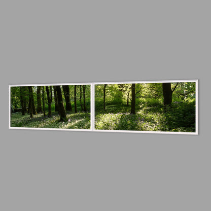 LED-Wandbild Zweiteiler quer 240x60 cm – Wald