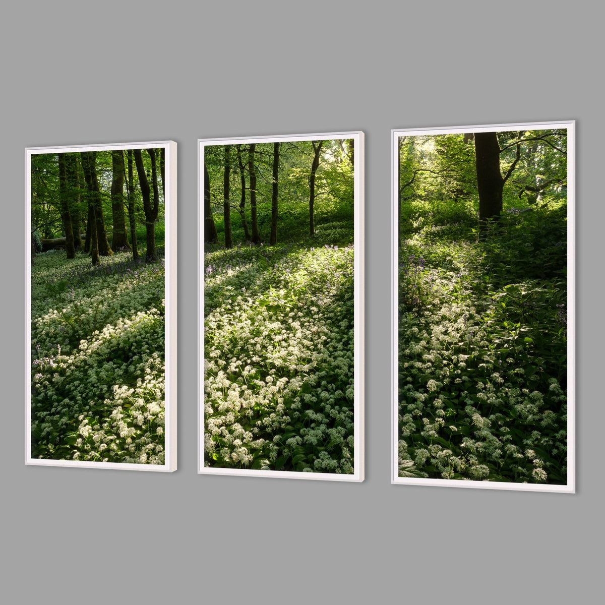 LED-Wandbild Dreiteiler hochkant mit Abstand – Wald