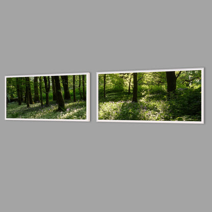 LED-Wandbild Zweiteiler quer mit Abstand – Wald
