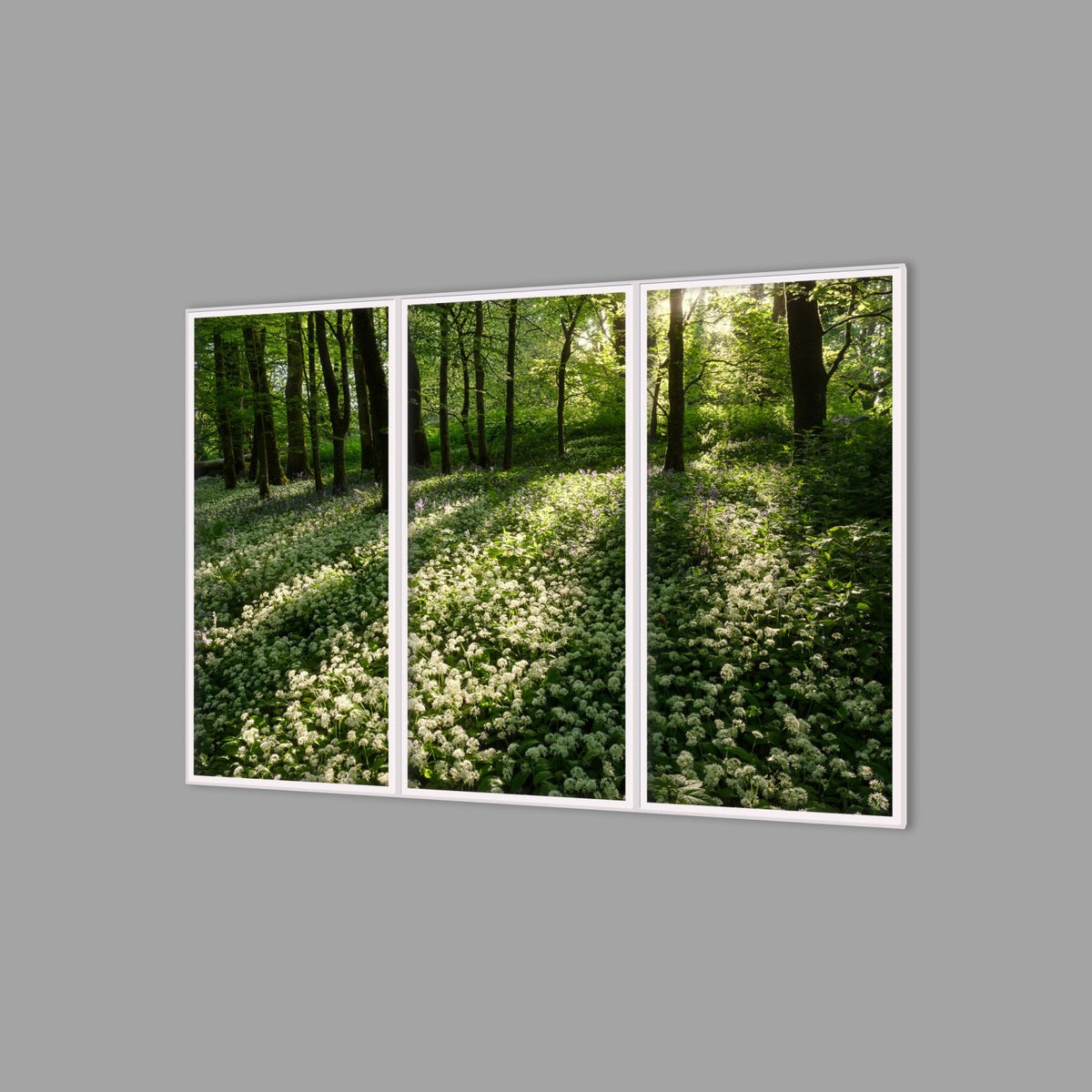 LED-Wandbild Dreiteiler hochkant 180x120 cm – Wald