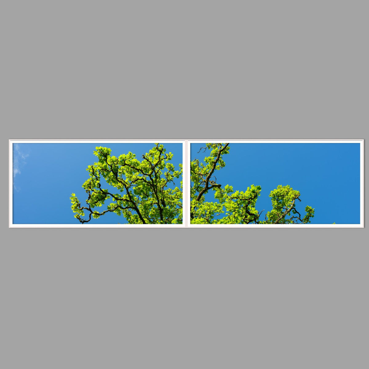 LED-Wandbild Zweiteiler quer 240x60 cm – Wald
