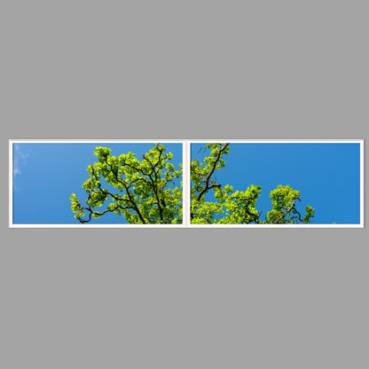 LED-Wandbild Zweiteiler quer 240x60 cm – Wald