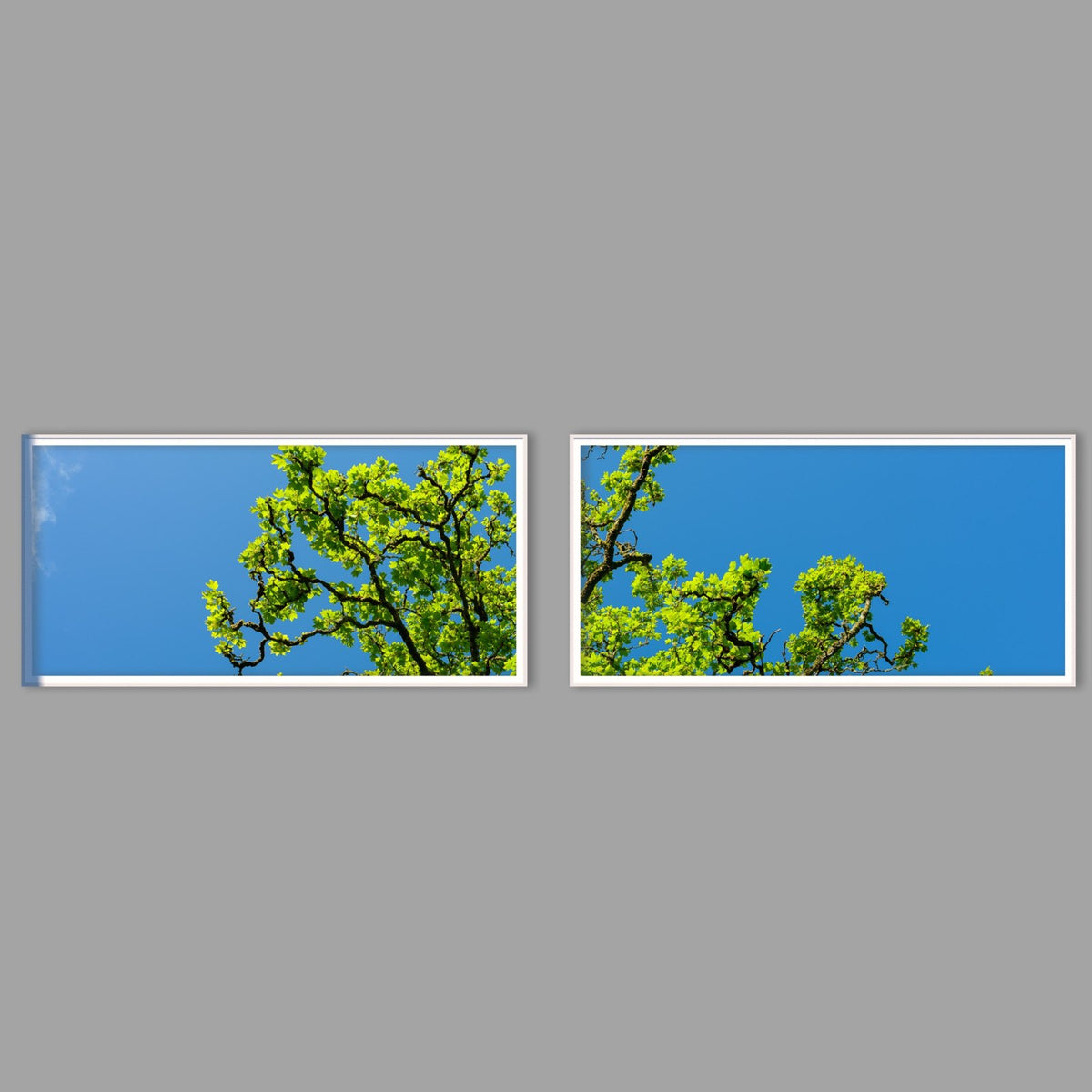 LED-Wandbild Zweiteiler quer mit Abstand – Wald