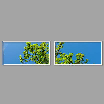 LED-Wandbild Zweiteiler quer mit Abstand – Wald