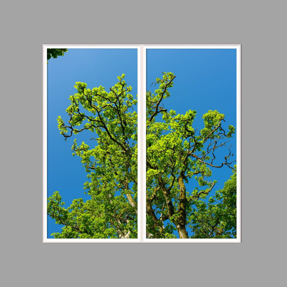 LED-Wandbild Zweiteiler hochkant 120x120 cm – Wald
