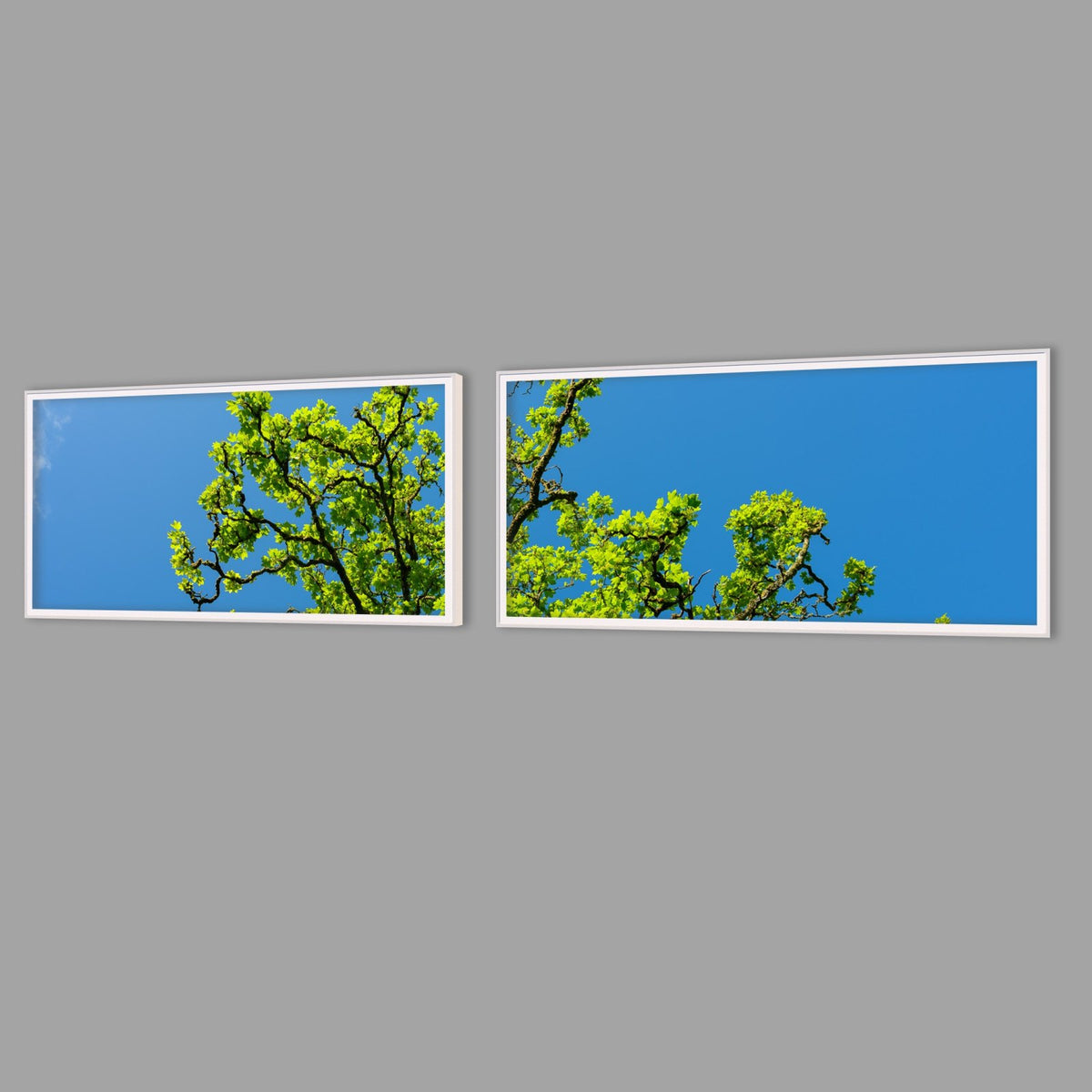LED-Wandbild Zweiteiler quer mit Abstand – Wald