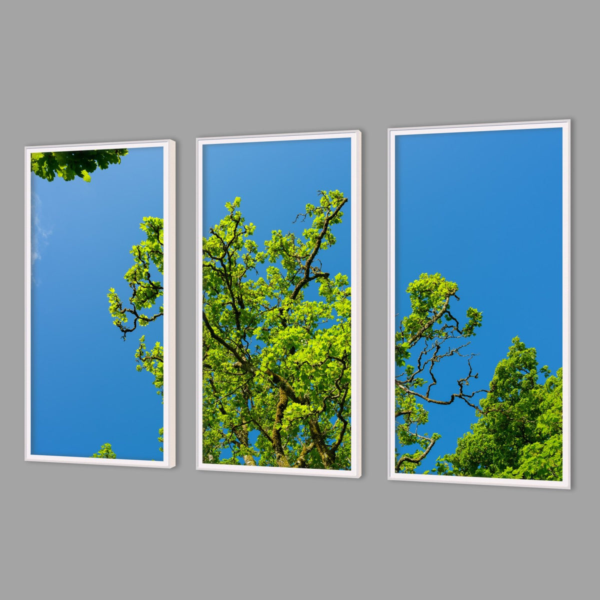 LED-Wandbild Dreiteiler hochkant mit Abstand – Wald