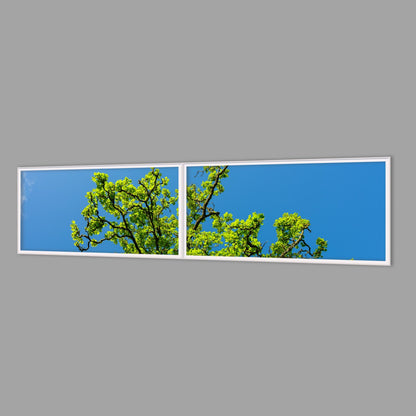 LED-Wandbild Zweiteiler quer 240x60 cm – Wald