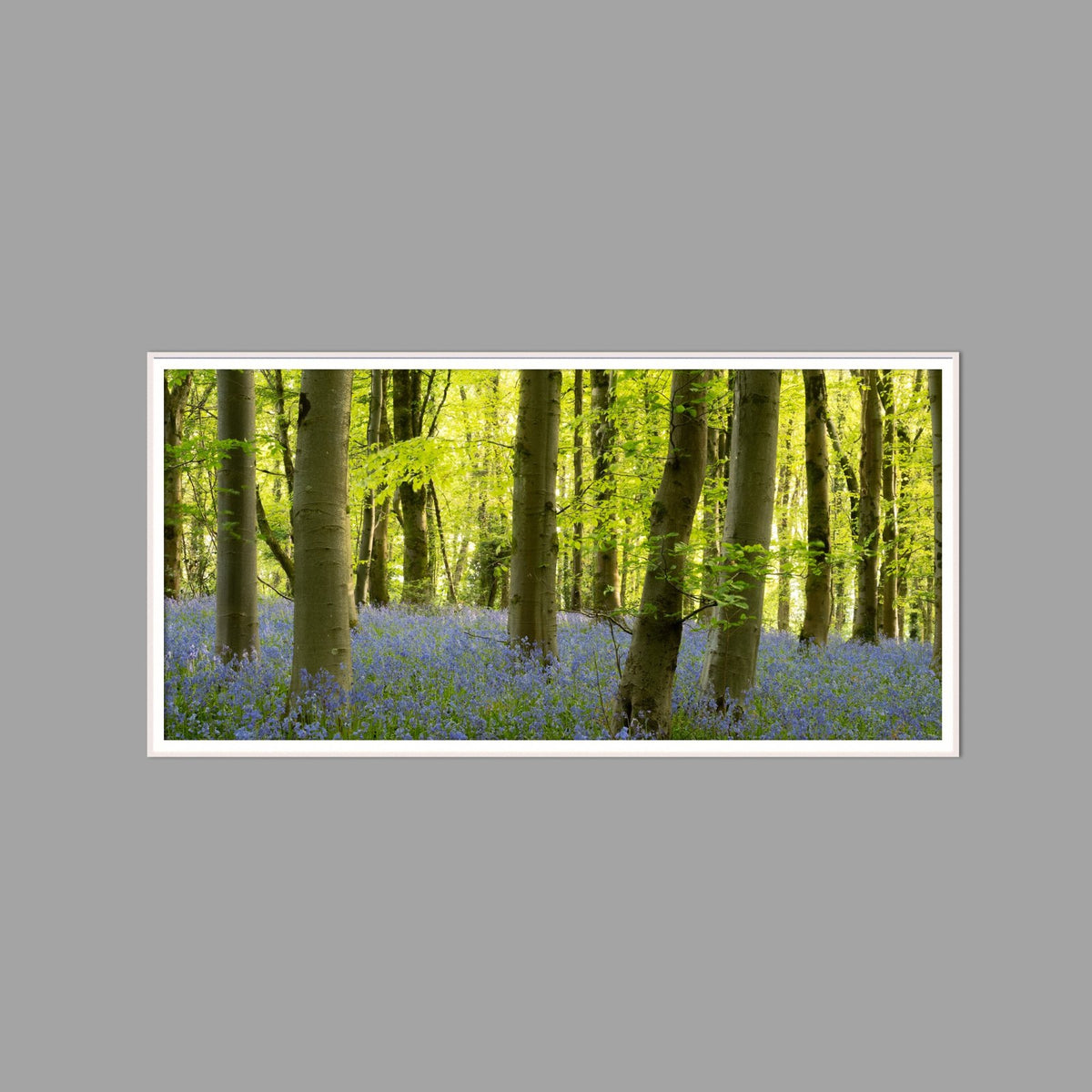 LED-Wandbild 60x120 cm quer – Wald