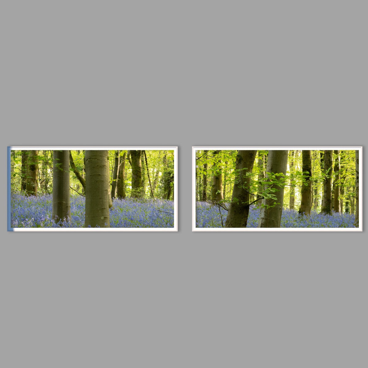 LED-Wandbild Zweiteiler quer mit Abstand – Wald