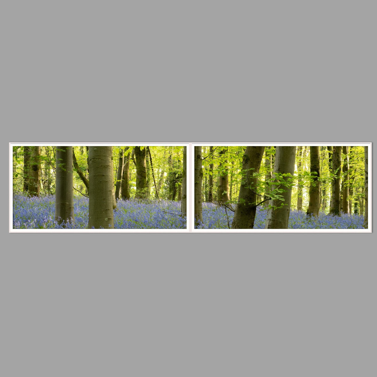 LED-Wandbild Zweiteiler quer 240x60 cm – Wald