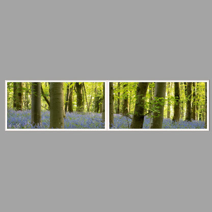 LED-Wandbild Zweiteiler quer 240x60 cm – Wald