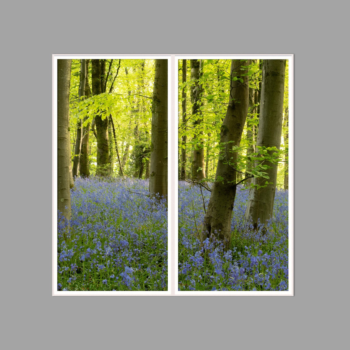 LED-Wandbild Zweiteiler hochkant 120x120 cm – Wald
