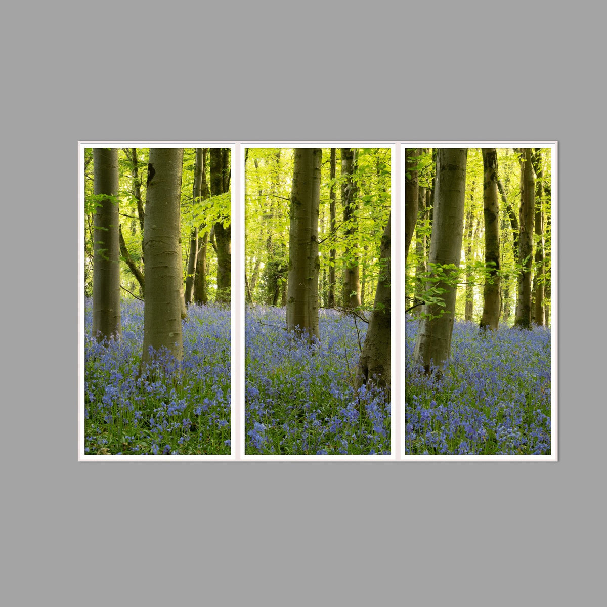LED-Wandbild Dreiteiler hochkant 180x120 cm – Wald