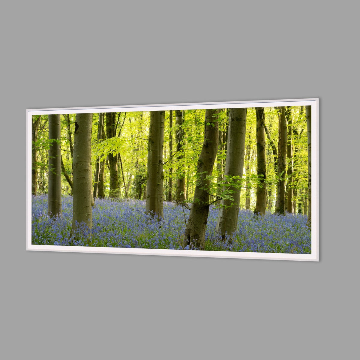 LED-Wandbild 60x120 cm quer – Wald