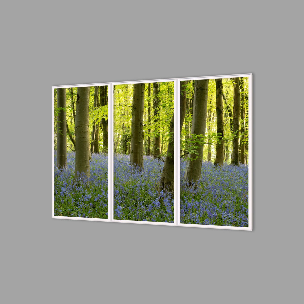 LED-Wandbild Dreiteiler hochkant 180x120 cm – Wald