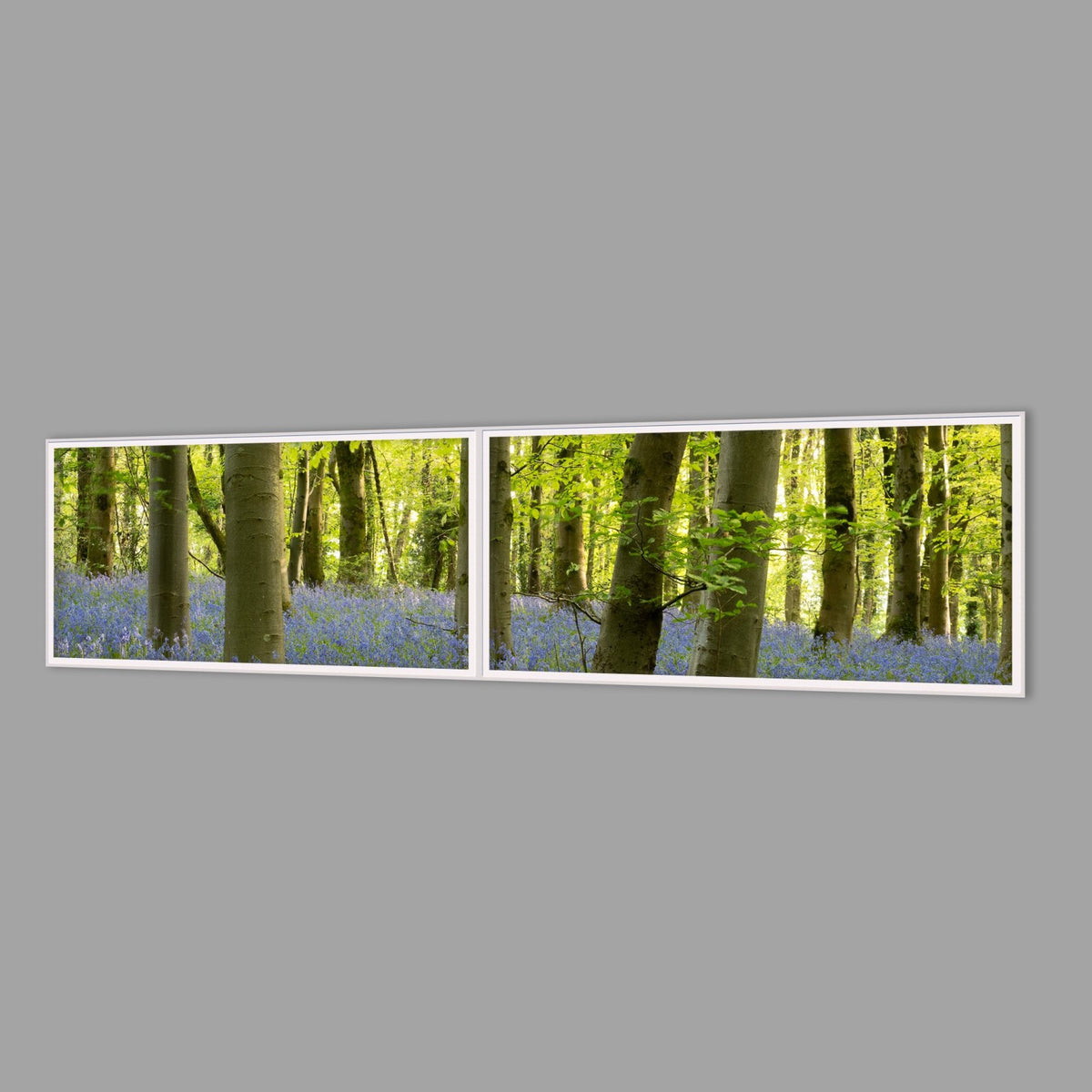 LED-Wandbild Zweiteiler quer 240x60 cm – Wald