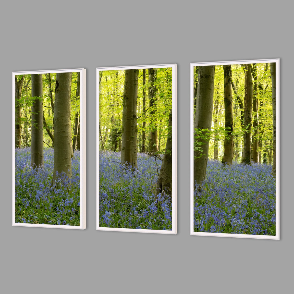 LED-Wandbild Dreiteiler hochkant mit Abstand – Wald