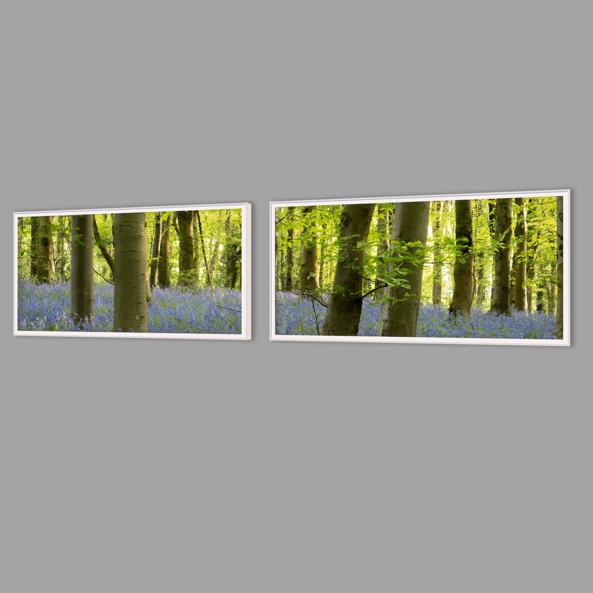 LED-Wandbild Zweiteiler quer mit Abstand – Wald
