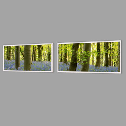 LED-Wandbild Zweiteiler quer mit Abstand – Wald
