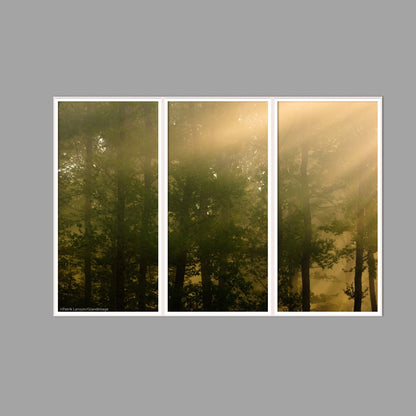 LED-Wandbild Dreiteiler hochkant 180x120 cm – Wald