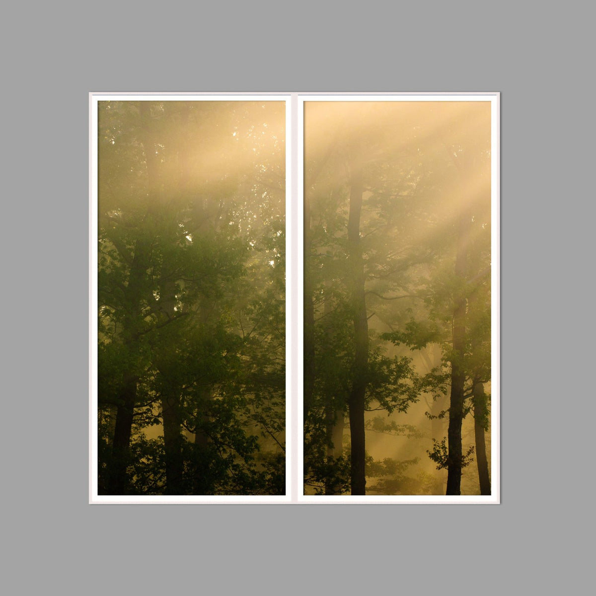 LED-Wandbild Zweiteiler hochkant 120x120 cm – Wald