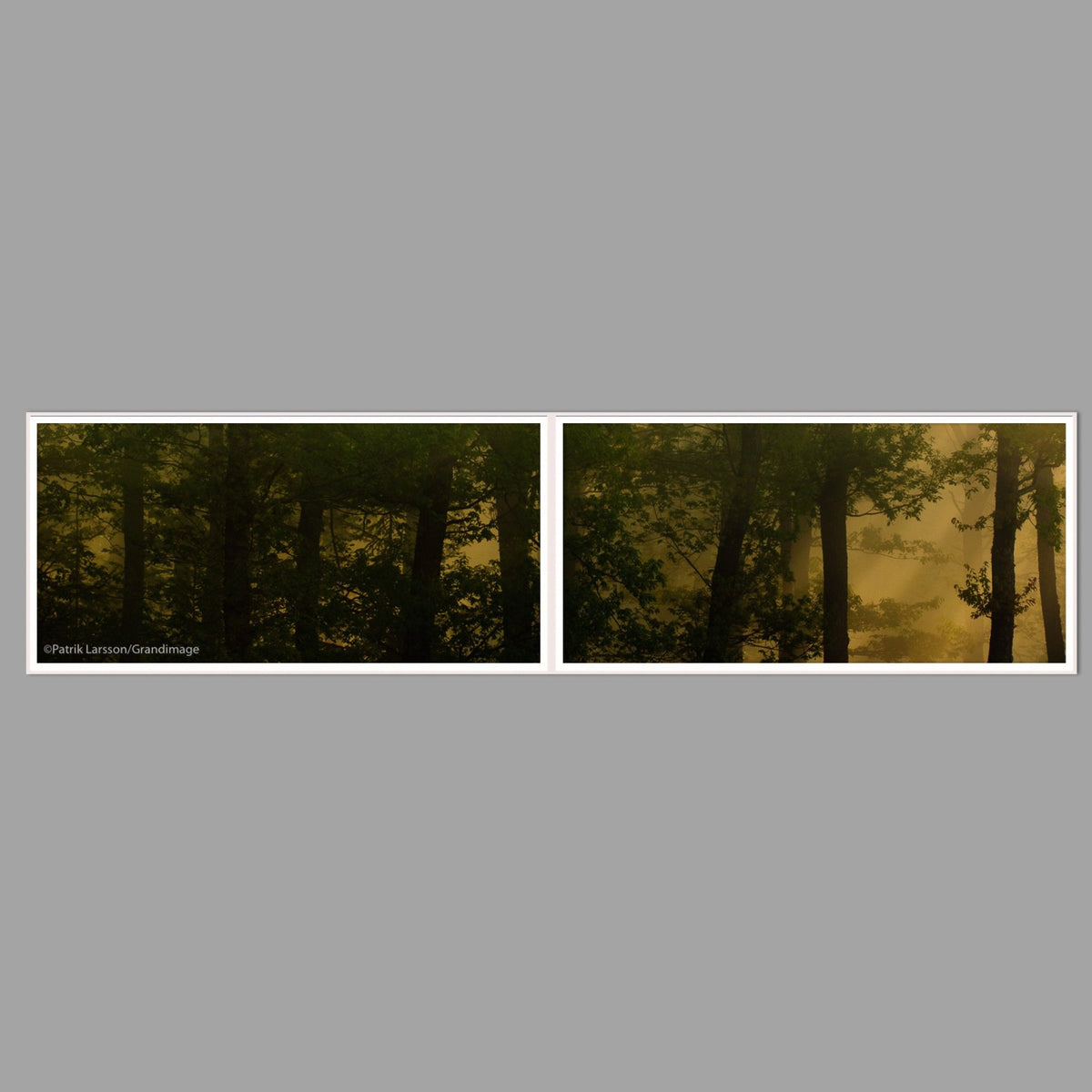 LED-Wandbild Zweiteiler quer 240x60 cm – Wald