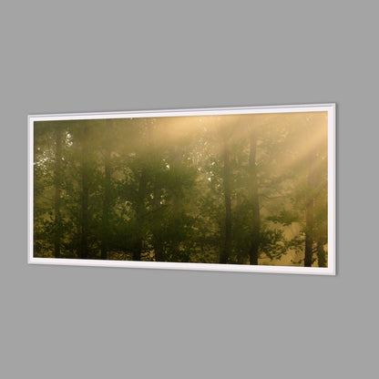 LED-Wandbild 60x120 cm quer – Wald