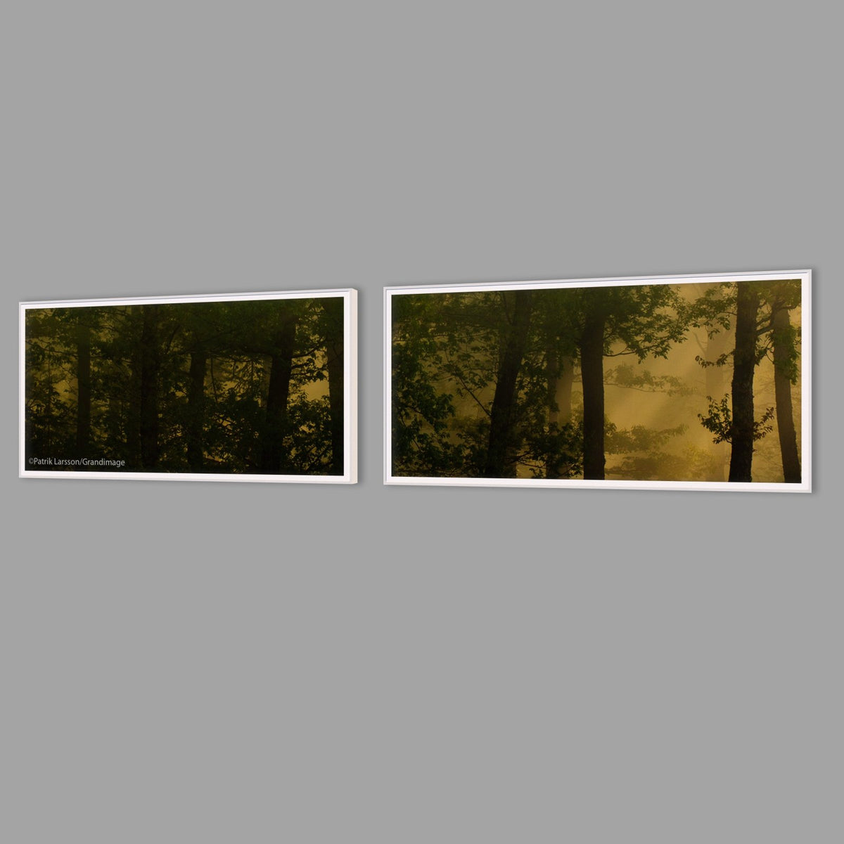 LED-Wandbild Zweiteiler quer mit Abstand – Wald