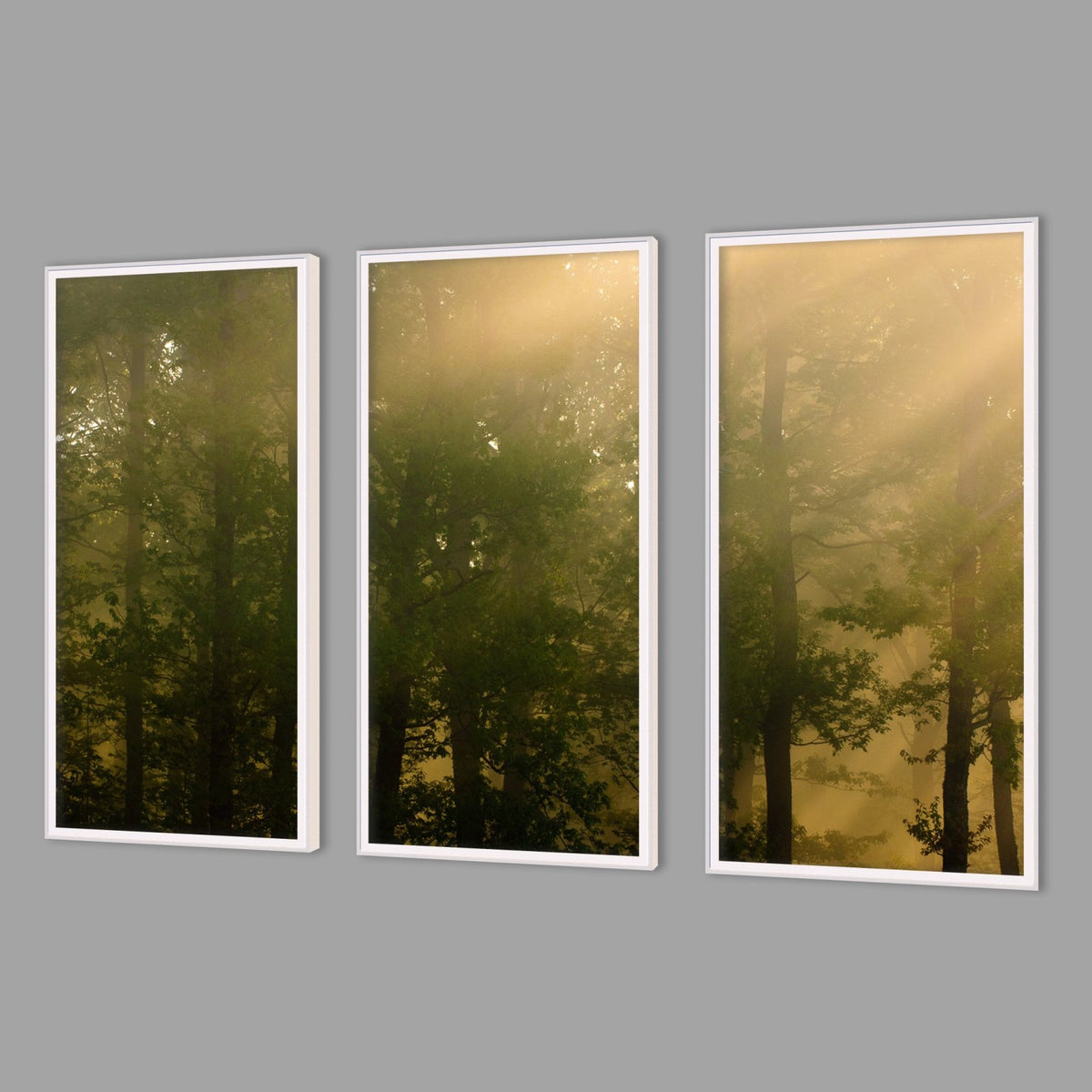 LED-Wandbild Dreiteiler hochkant mit Abstand – Wald