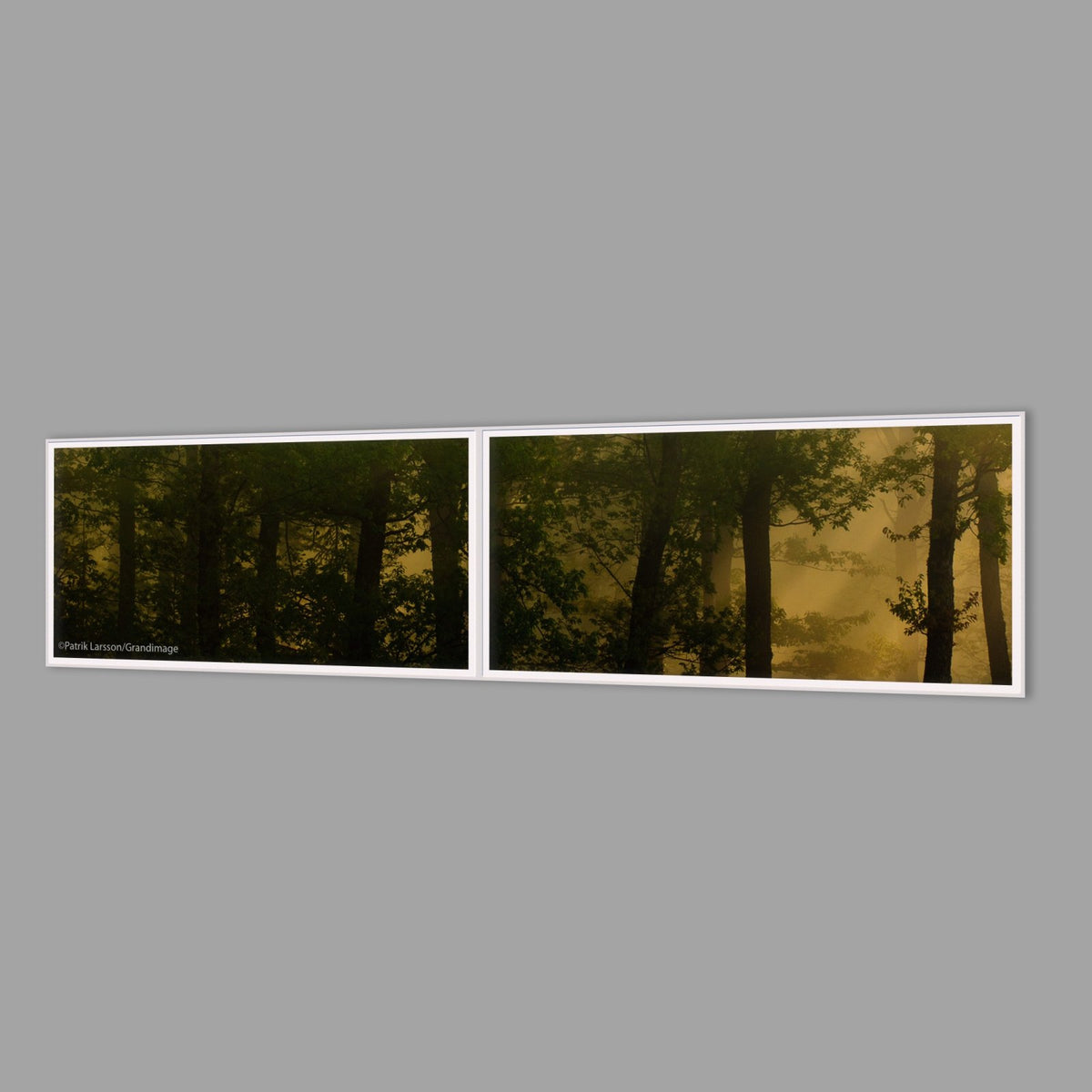 LED-Wandbild Zweiteiler quer 240x60 cm – Wald
