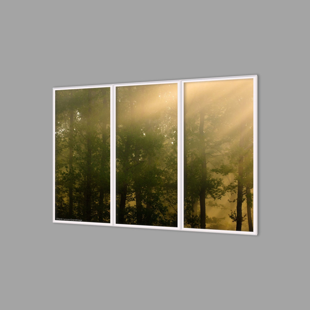 LED-Wandbild Dreiteiler hochkant 180x120 cm – Wald