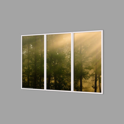 LED-Wandbild Dreiteiler hochkant 180x120 cm – Wald