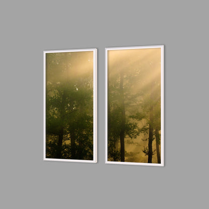 LED-Wandbild Zweiteiler hochkant mit Abstand – Wald