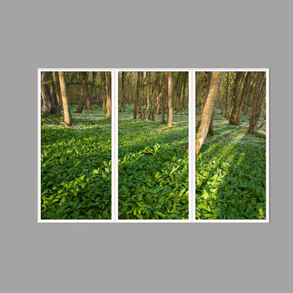 LED-Wandbild Dreiteiler hochkant 180x120 cm – Wald
