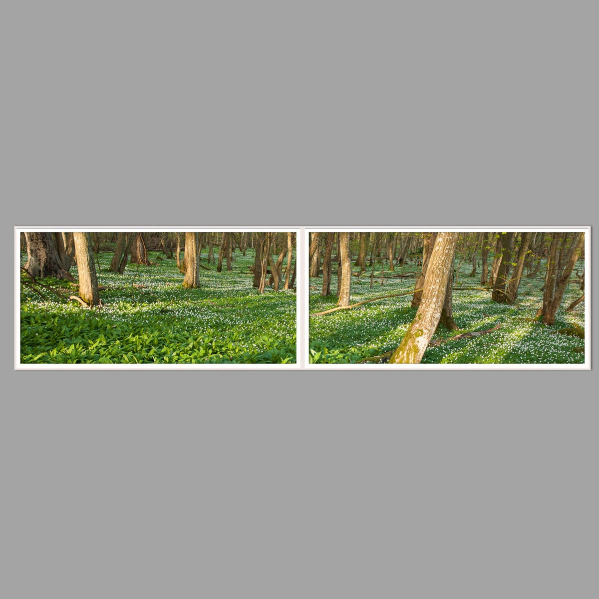 LED-Wandbild Zweiteiler quer 240x60 cm – Wald