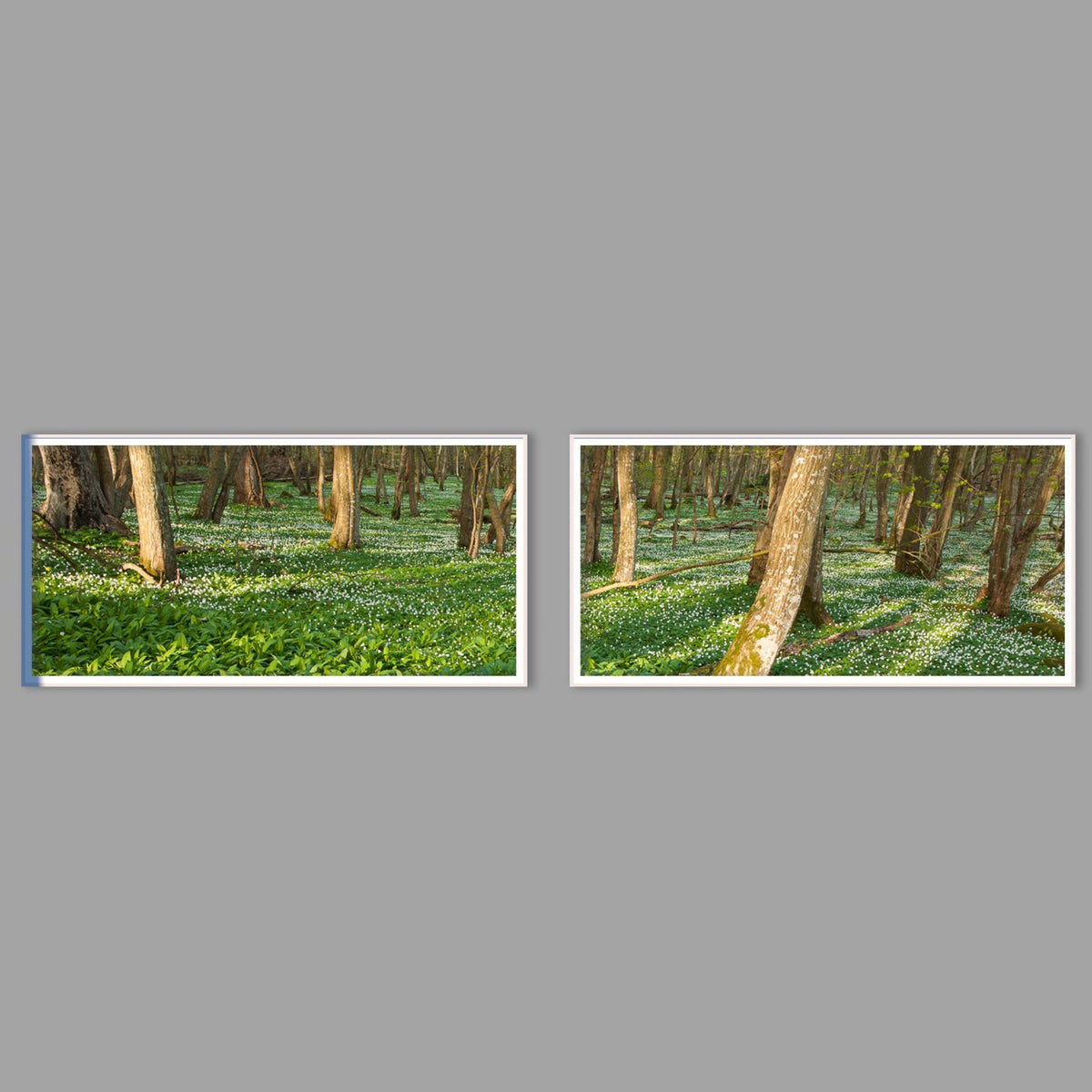 LED-Wandbild Zweiteiler quer mit Abstand – Wald