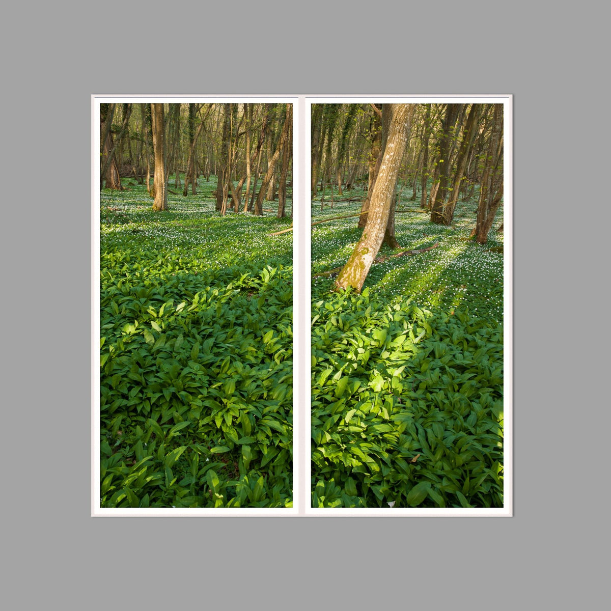 LED-Wandbild Zweiteiler hochkant 120x120 cm – Wald
