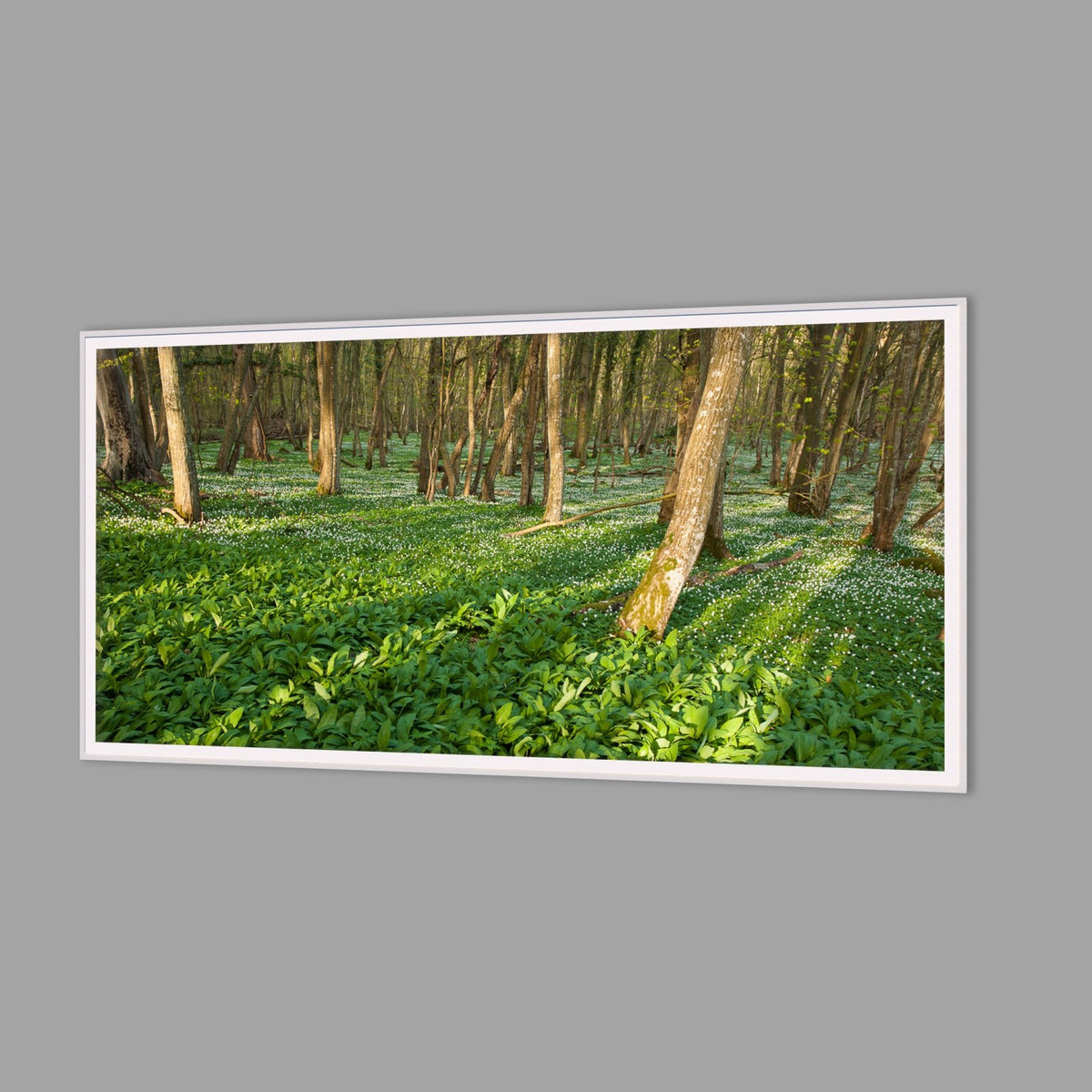 LED-Wandbild 60x120 cm quer – Wald