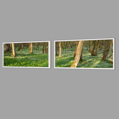 LED-Wandbild Zweiteiler quer mit Abstand – Wald