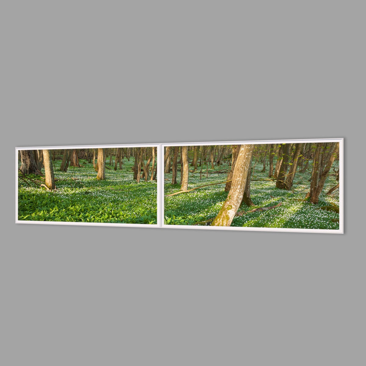 LED-Wandbild Zweiteiler quer 240x60 cm – Wald